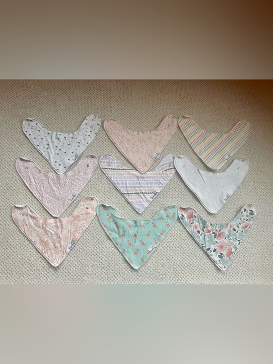 Copper Pearl Other - COPPER PEARL Baby Bandana Bib Bundle (Set of 9)